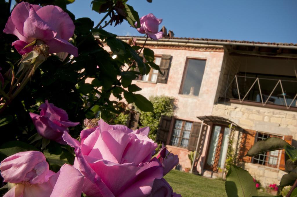 Cascina Rosa B&B Grazzano Badoglio Exteriér fotografie