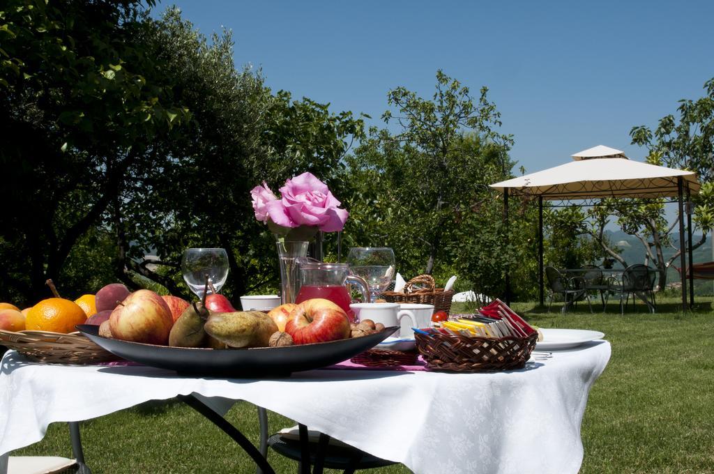 Cascina Rosa B&B Grazzano Badoglio Exteriér fotografie